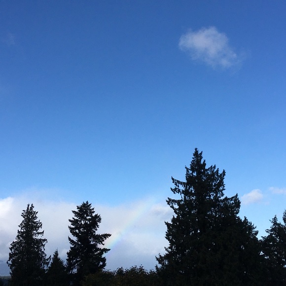 Meet your Posher, Bronwyn - Picture 1 of 1